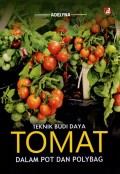 Teknik Budi Daya Tomat dalam Pot dan Polybag